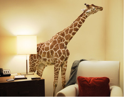XLARGE giraffe2